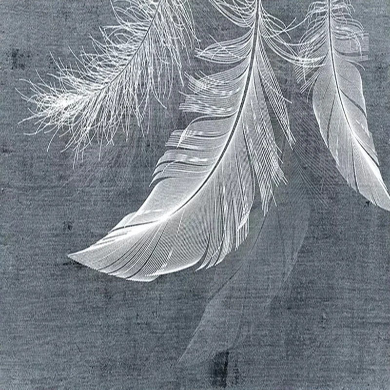 Modern Simple Feather Photo Mu - Home Textiles Photos ulasan dan harga